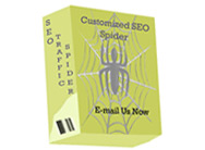 SEO Services | Increase Website Traffic | Affordable SEO Services | SEO Copywriting | SEO Traffic | SEO Packages | SEO Traffic Spider